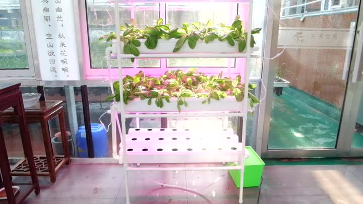 Hydroponics