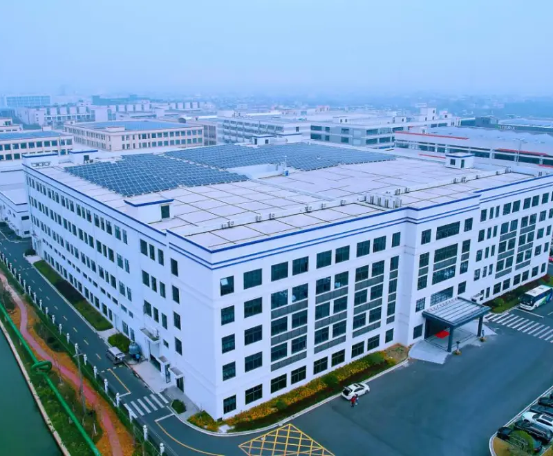 Haining chicken hair garlic home factory