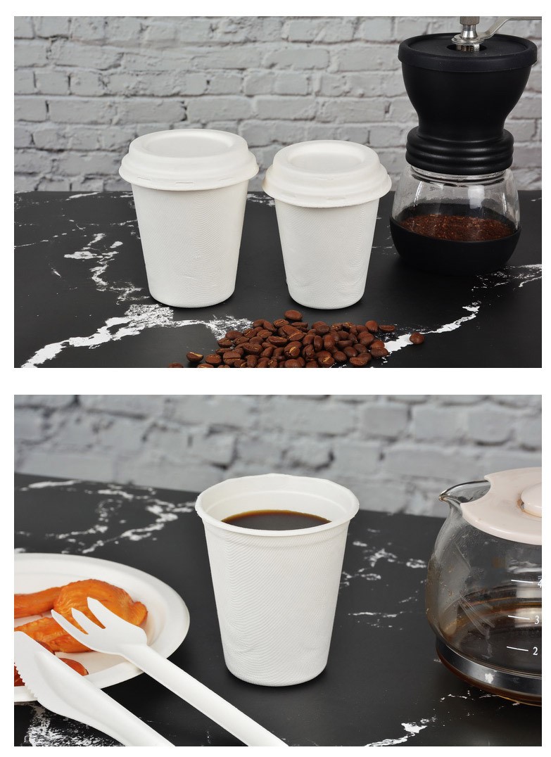 Bagasse Coffee Cups