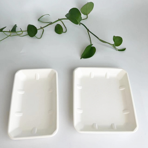 Newly developed disposable bagasse meat trays