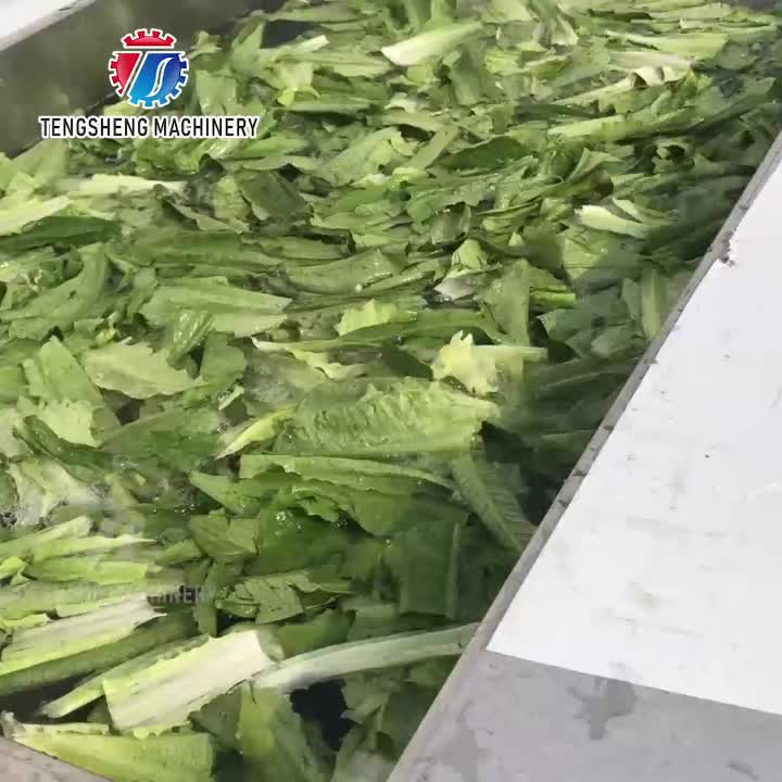 خط غسيل وتجفيف السلطة