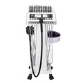 Factory Direct Sell Vibration Massage and EMS Anti-Cellulite Machine1