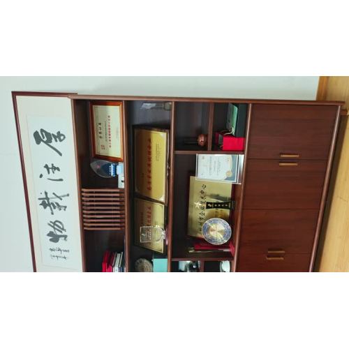 ဂုဏ်ထူးဆောင်ဆုများ