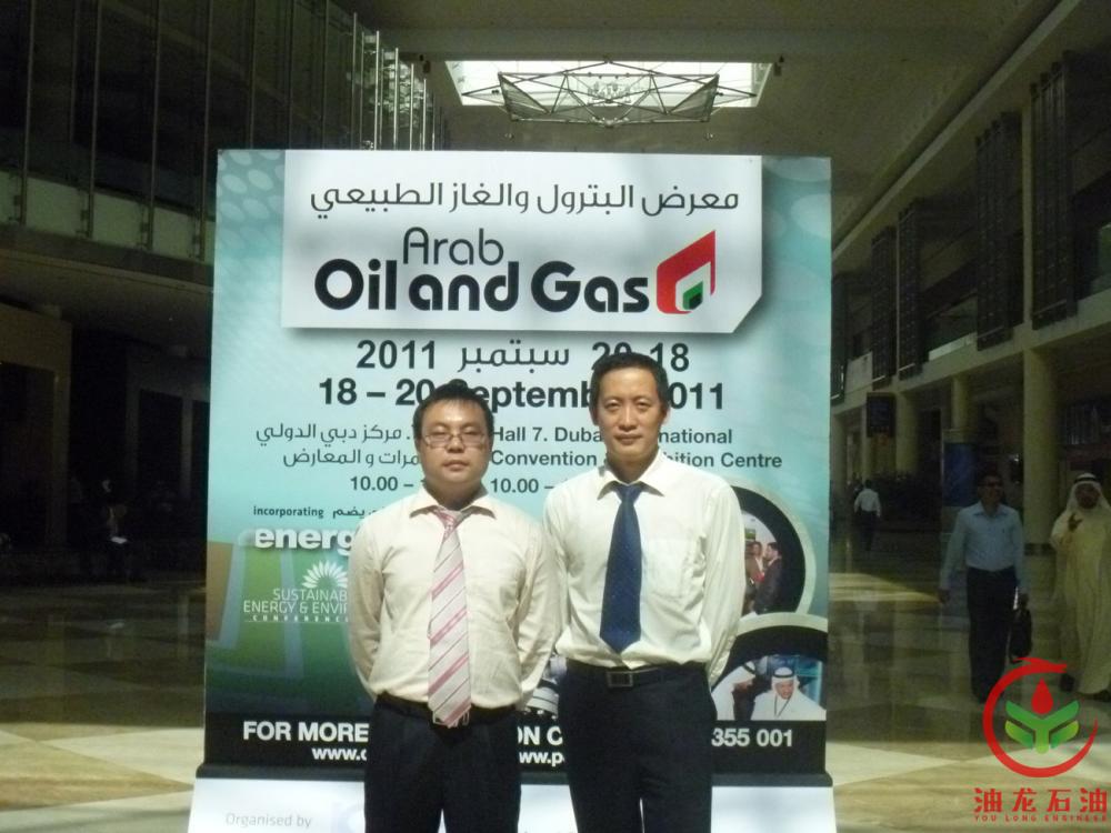 2011 UAE Oil and Gas 