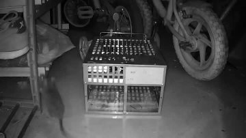 legal and commonly used trap