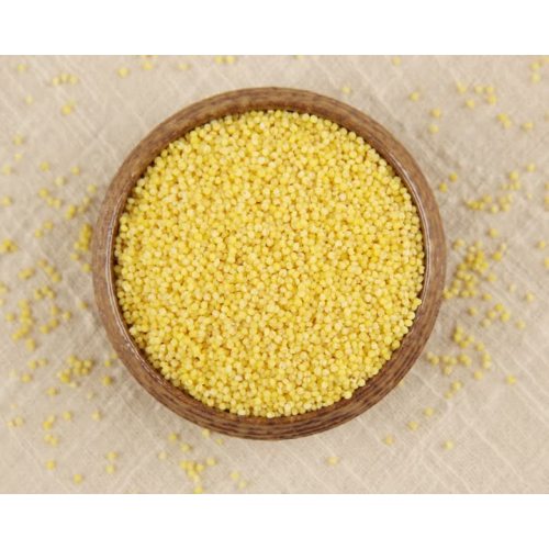 grain Millet2