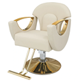 Hot Selling High-Quality Multifunctional Hair Salon Chair: Ideal for Living Rooms and Hotels1