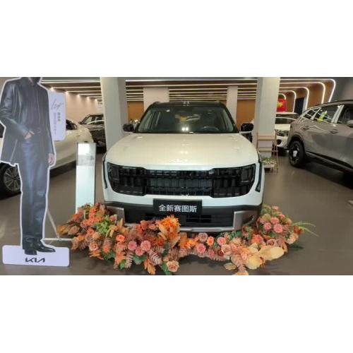 New Kia Seltos