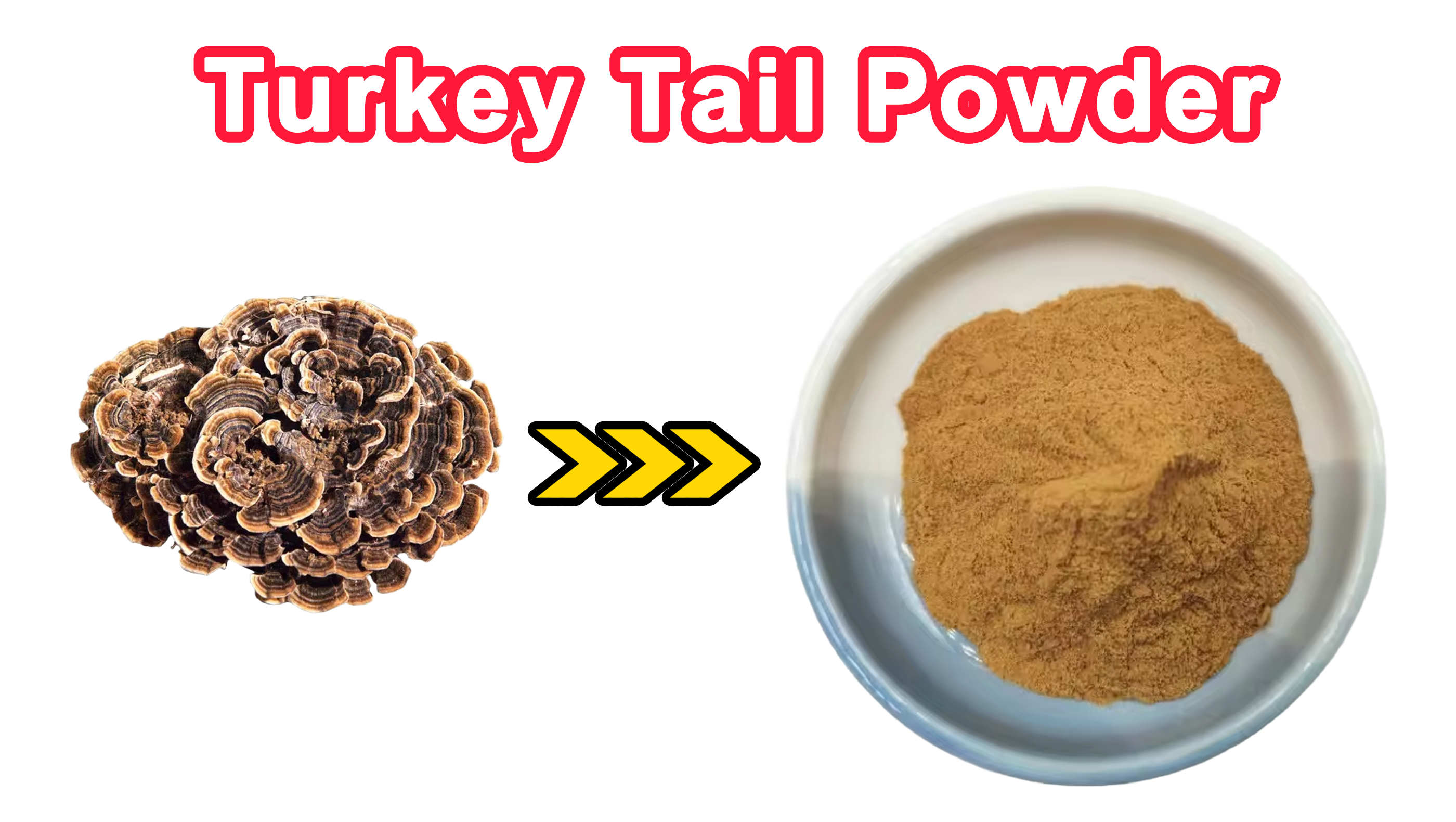 Turkey Tail Mushroom Powder