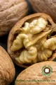 Kuarters Cahaya Kernel Walnut Terbaik