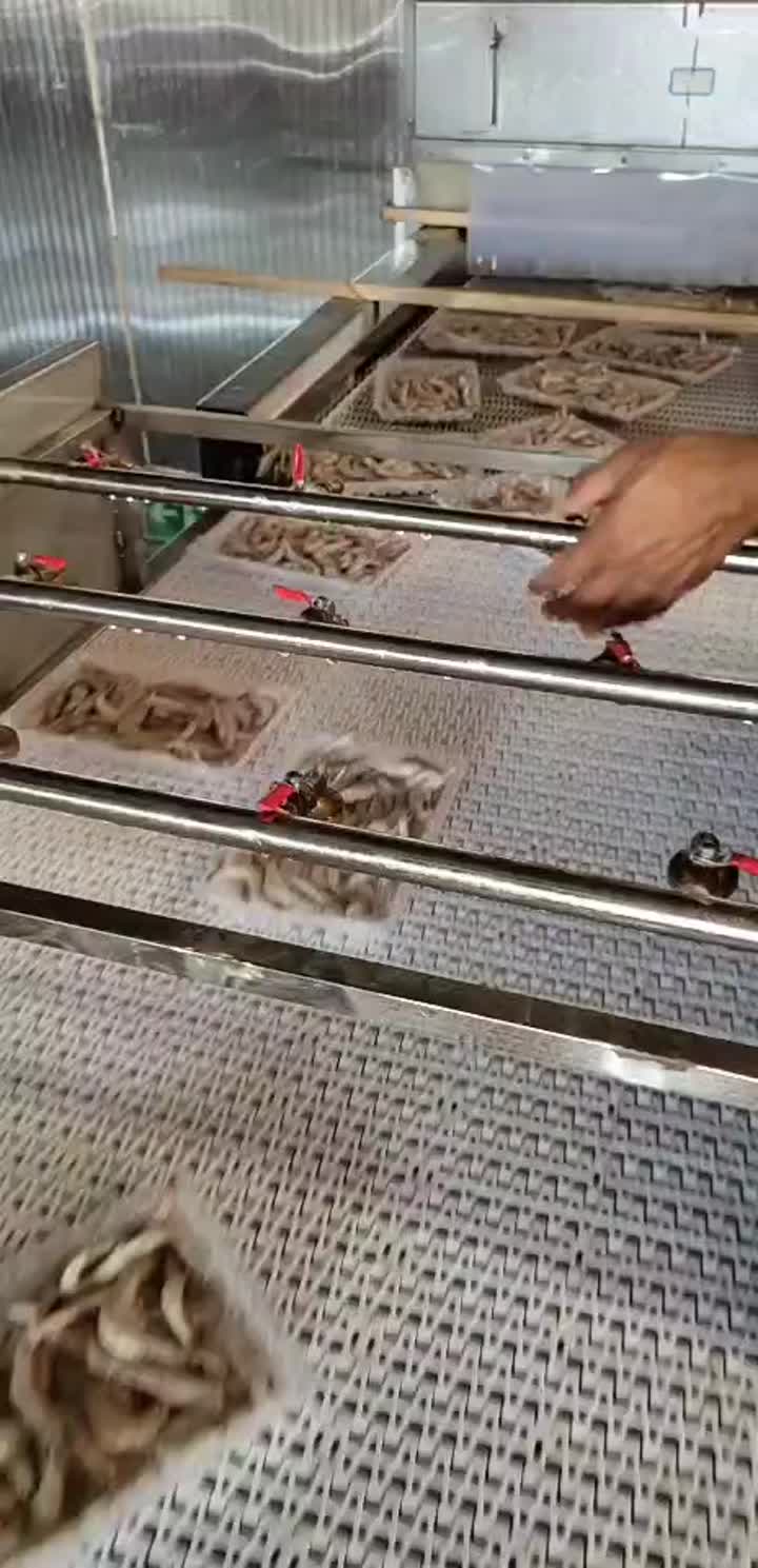 Salida de congelación de camarones en caja