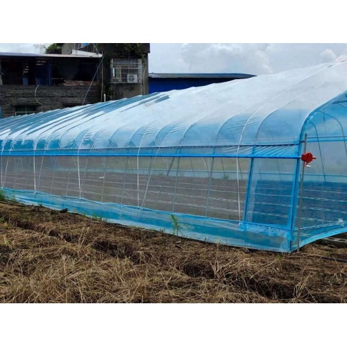 Se lanzó con éxito el proyecto de invernadero arqueado de una sola unidad de Qingcheng Agriculture en Hechuan, lo que impulsa la calidad y la eficiencia de la agricultura de las instalaciones suburbanas