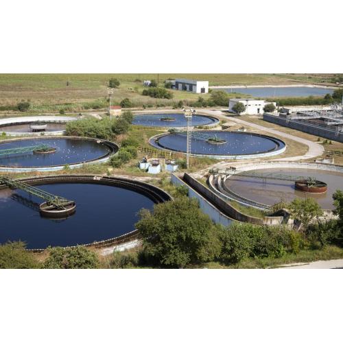 Mikrobielle Flockungsmittel in der Wasserbehandlung und des Wirkungsprinzips