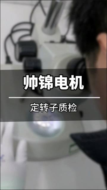 Quality Inspection of the Stator and Rotor