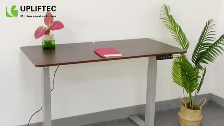 UP1B-08 Best Adjustable Standing Desks for Home Office