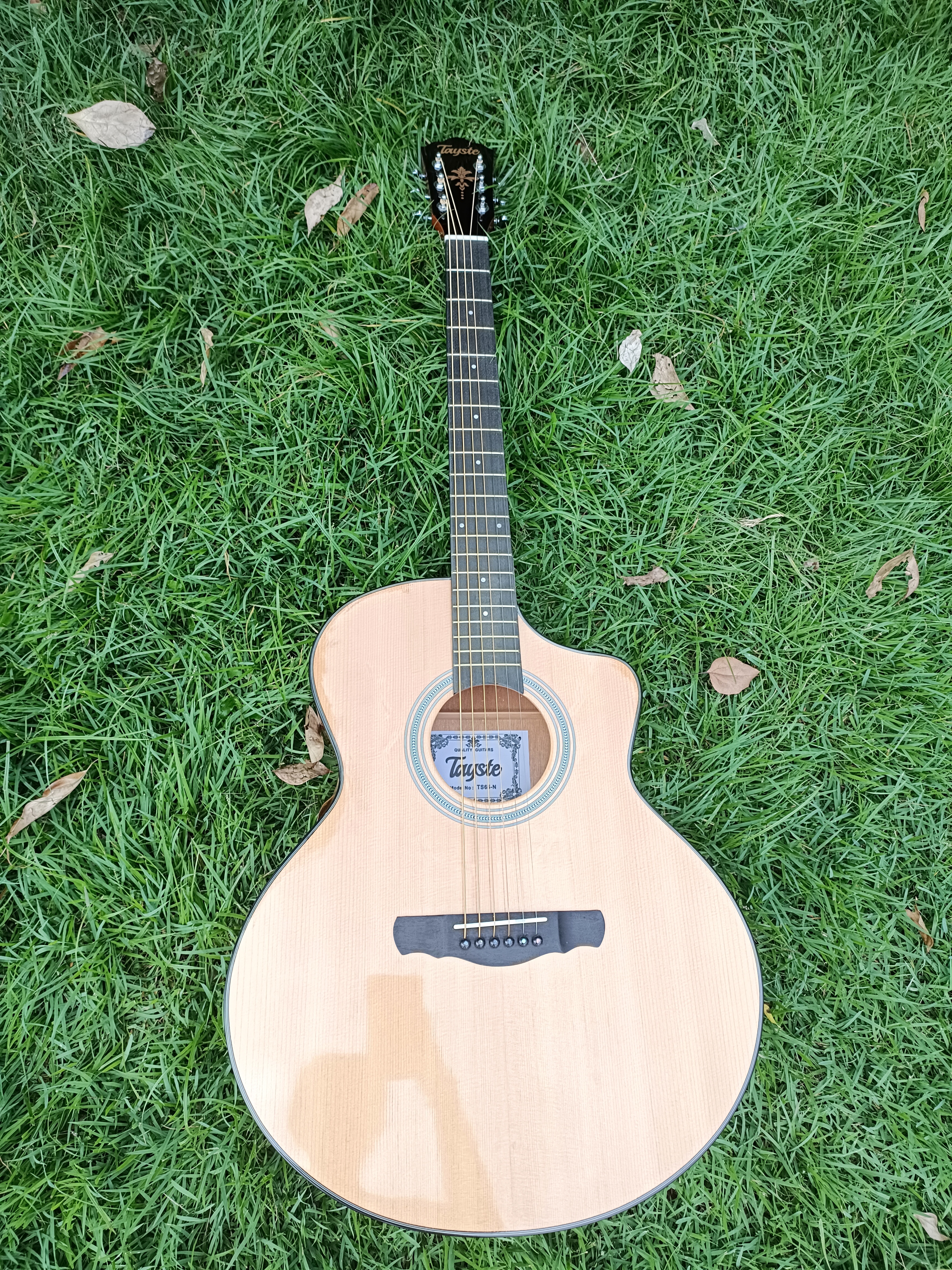 Guitarra acústica de cor natural TS65-N