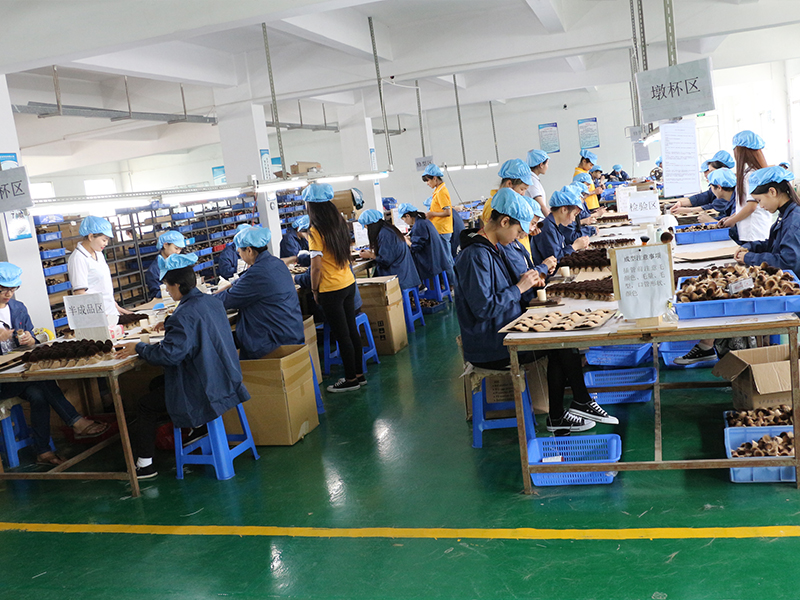 DONGGUAN YACAI COSMETICS CO.,LTD.