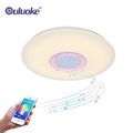 Modern Surface-Mounted Round LED Ceiling Lamp for Living Room - 24w/36w Acrylic Smart Music Light1