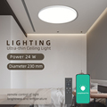 Ultra Thin LED Ceiling Light for Living Room and Bedroom1