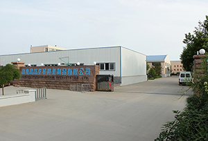 Shandong Fengdun Leather Shoes CO.,Ltd