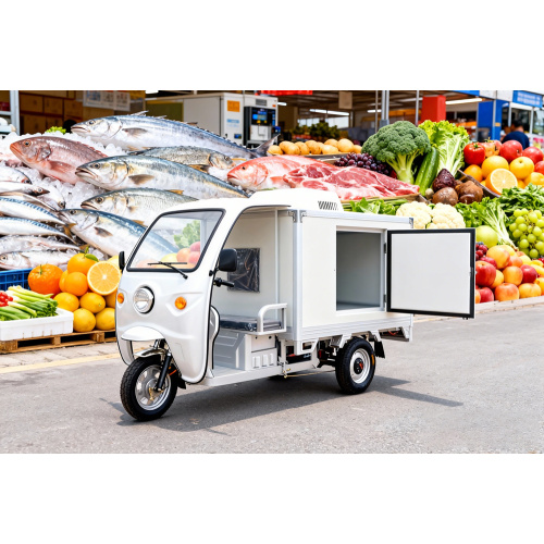 Exploiter le soleil malaisien : mon avis sur les conteneurs réfrigérés à énergie solaire pour vélos