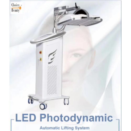 LED Photodynamics