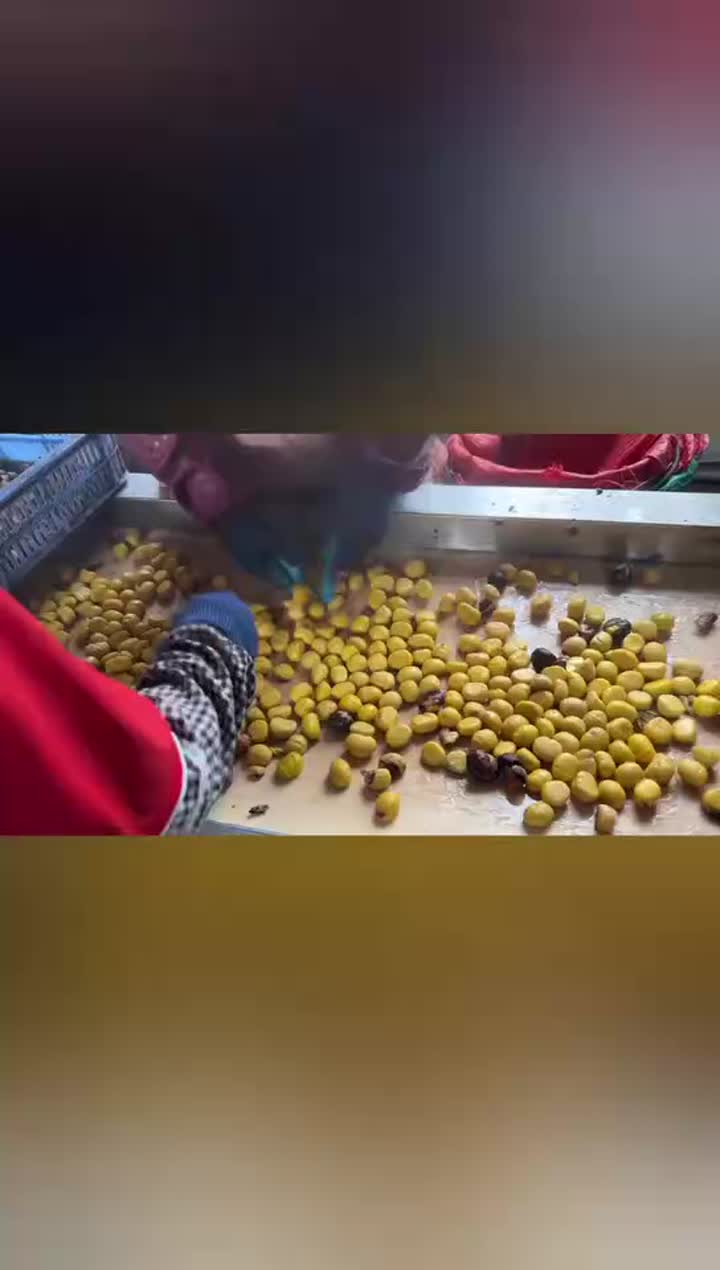 Video bengkel2