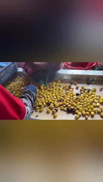 Workshop video2