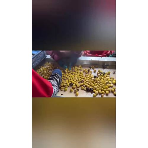 Video hội thảo2
