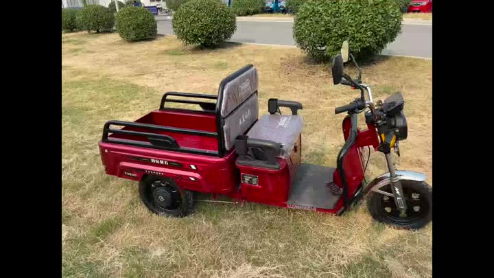 Triciclo de la cama plana