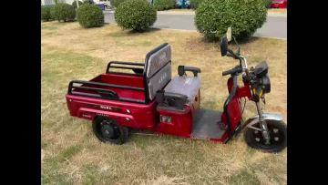 Flatbed Tricycle