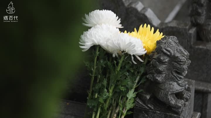 2ee34af13ec7ddc6236c13eb9eff429b