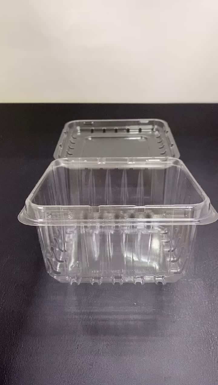 Embalaje de plástico de plástico desechable de fruta