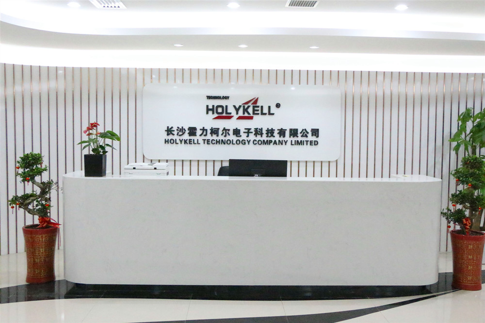 Changsha Holykell Electronic Technology Co., Ltd