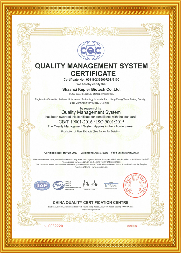 ISO90001