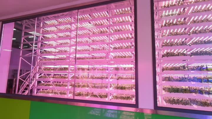 Интерьер завода 2