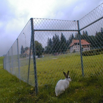 Top 10 Most Popular Chinese Chain Link Fence Brands