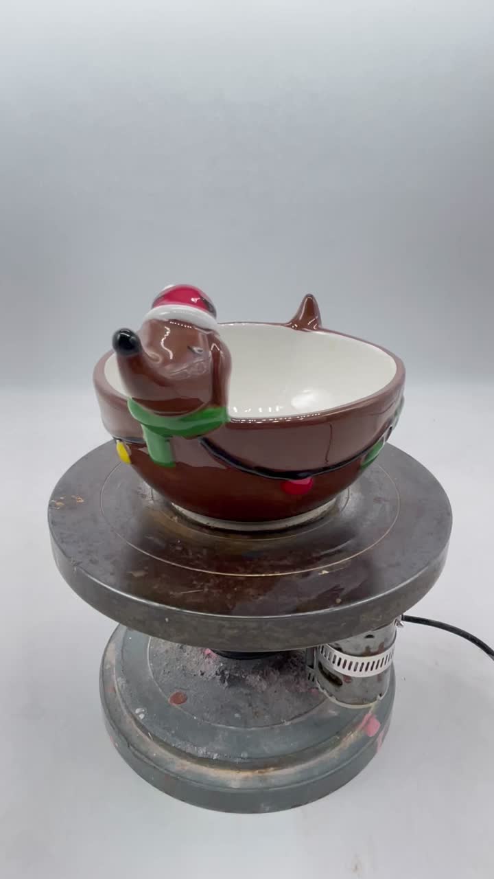 Cuenco para perros salchicha