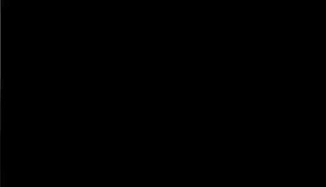 羽毛球
