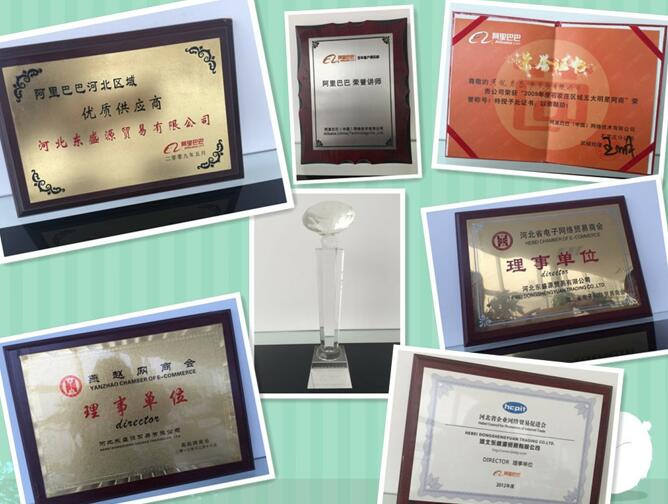 Hebei Dongshengyuan Trading Co.,Ltd.