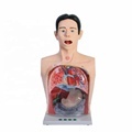 DARHMMY Medical PVC Male Bust Gastric Lavage Training Model1