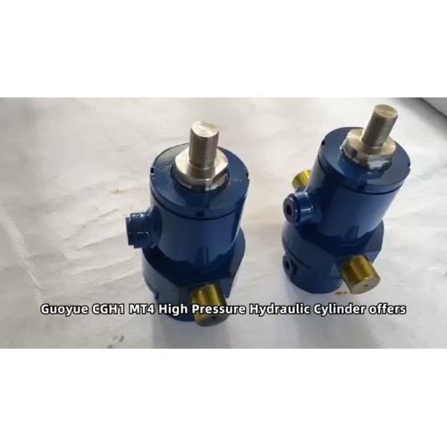 80 56-8 맞춤형 유압 실린더