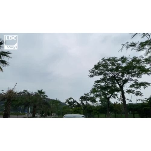 ডায়মন্ড গাড়ি মোড়ানো পান্না কেস