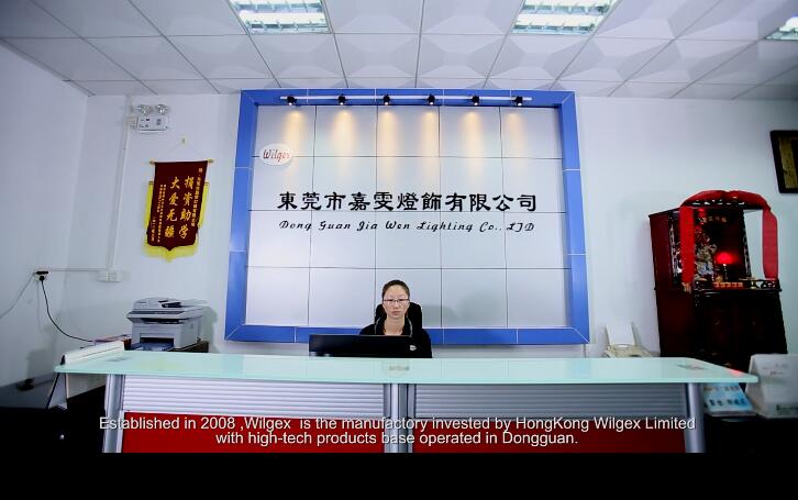Dongguan Wilgex Lighting Co., Ltd.