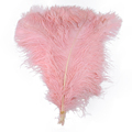 Thick Stalk White Craft Wedding Flower Stands with Large Ostrich Feathers for Wall Art and Event Decor - 60-65 cm1