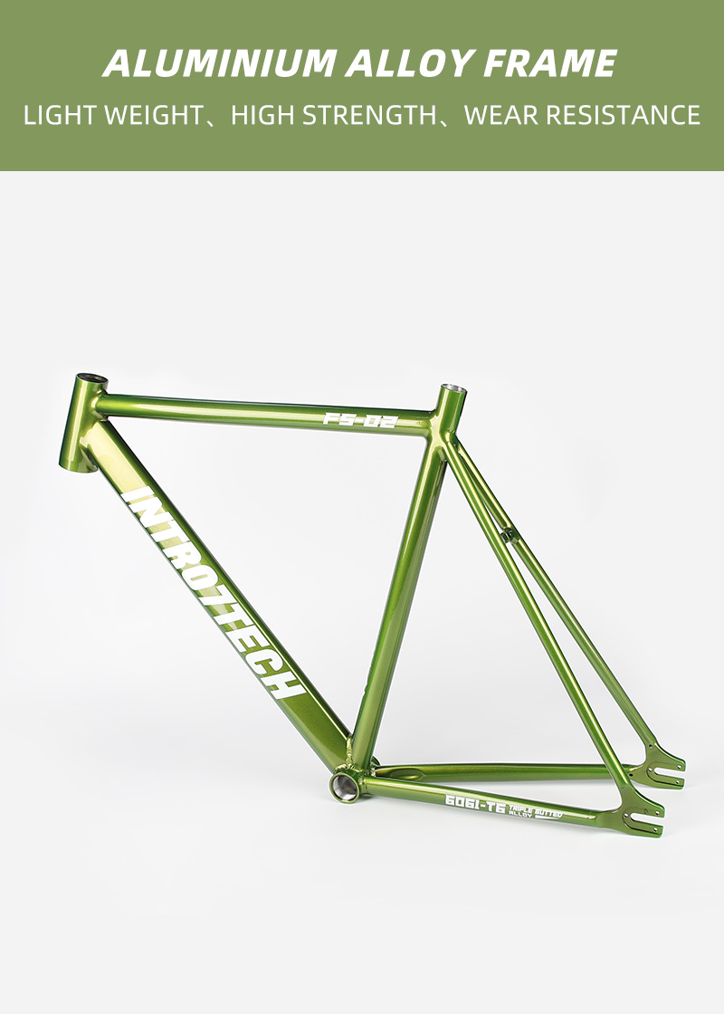 Fixed Gear Bike Frame