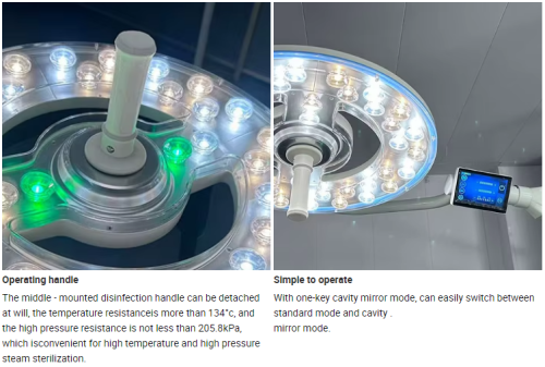 MEIDI Accelerates Global Expansion!