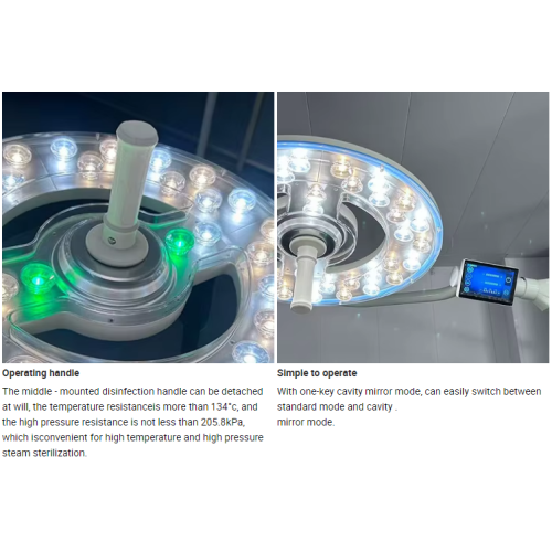 MEIDI Accelerates Global Expansion!