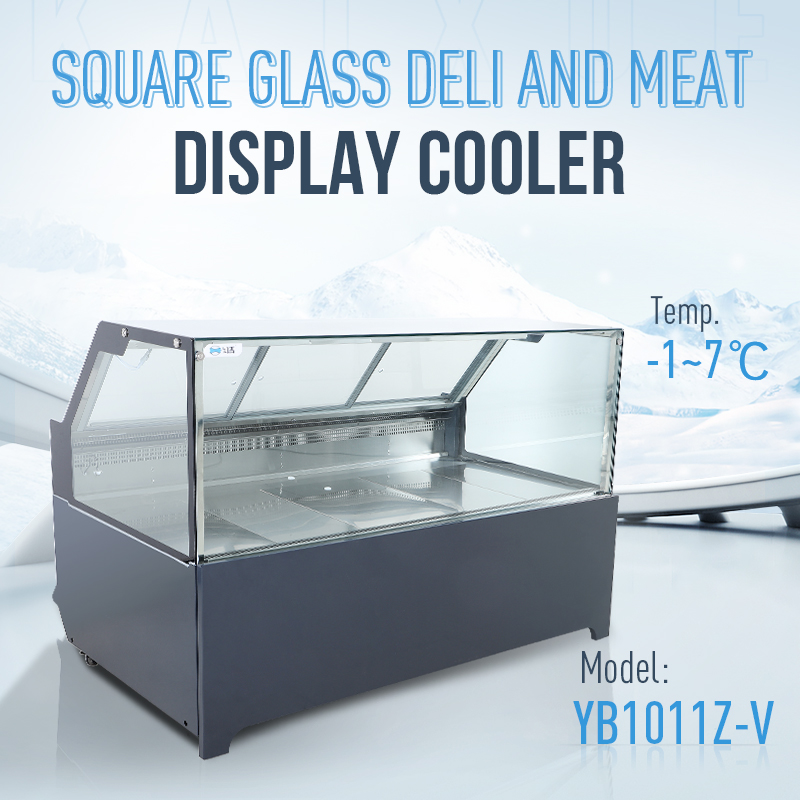 Commercial Display Refrigerator Showcase with Free