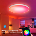 ERP Wireless WiFi Bluetooth 2.4G Remote Control APP Smart Illumination LED Ceiling Light1